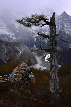 亞丁風(fēng)光