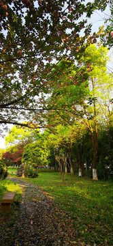 公園綠化
