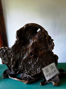 日出山櫸木