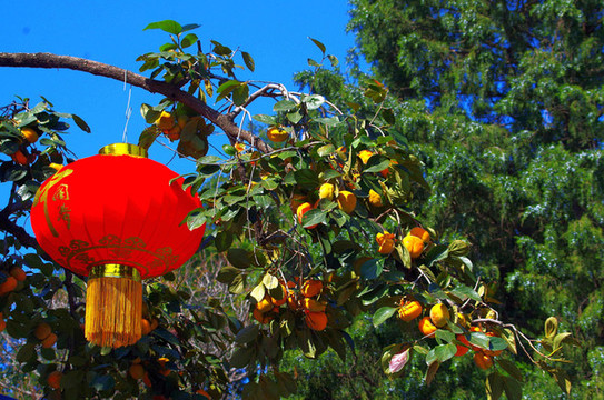 西山八大處公園