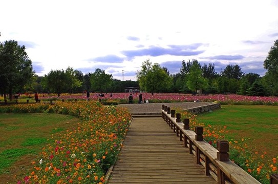 北京奧林匹克森林公園