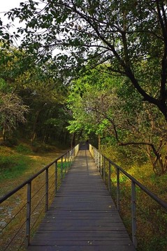 北京百望山森林公園