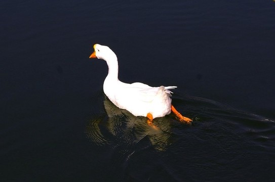 北宮國(guó)家森林公園