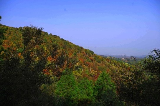 北宮國家森林公園