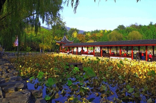 北宮國家森林公園