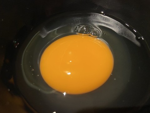 雞蛋黃