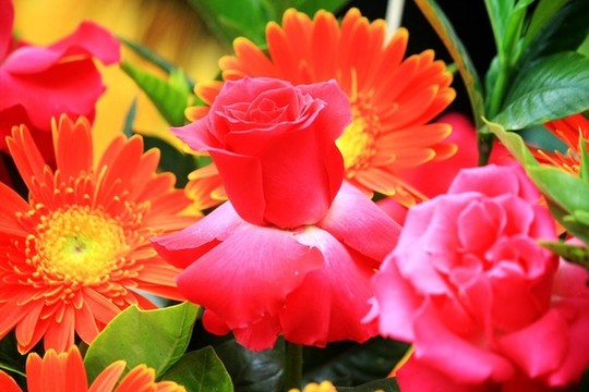 鮮花