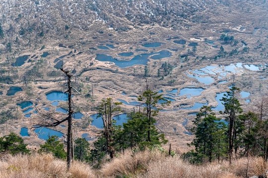 高黎貢山神田