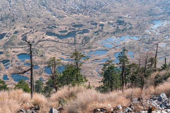 高黎貢山神田