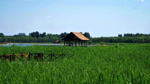 大運(yùn)河森林公園