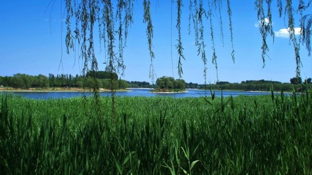 大運河森林公園