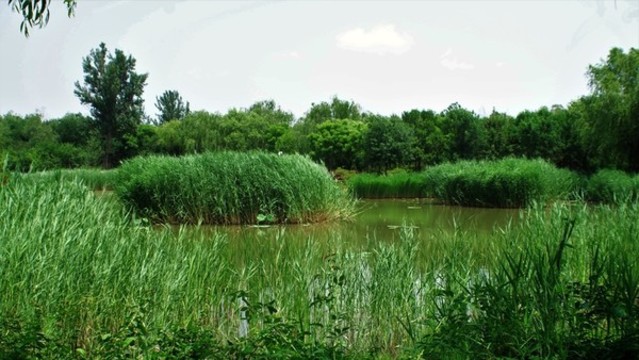 北京東壩郊野公園