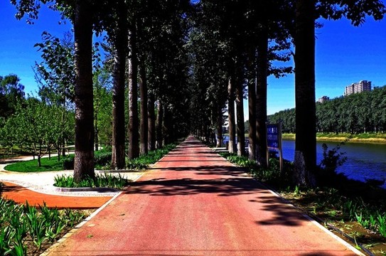 北京減河公園通州段