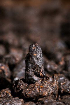 云南普洱茶化石七兩碎銀