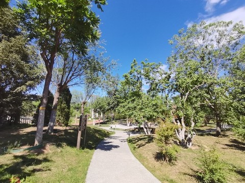 布景設(shè)計(jì)