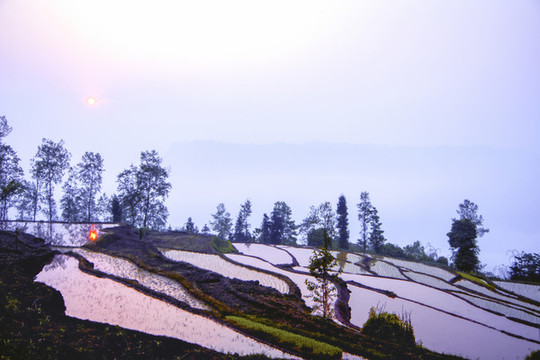 農(nóng)田風(fēng)景