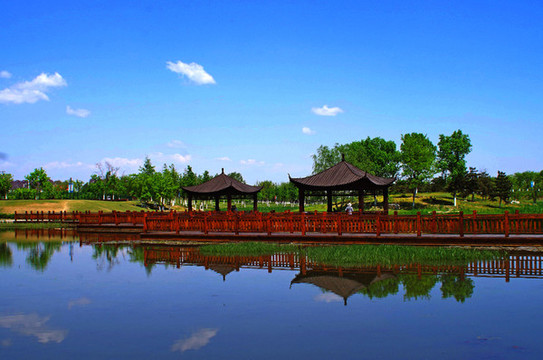 房山區(qū)新城濱水森林公園