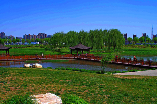 房山區(qū)新城濱水森林公園
