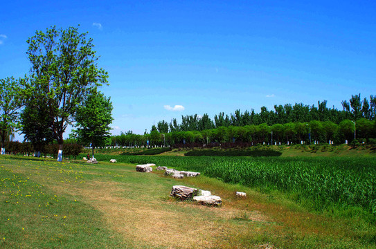 房山區(qū)新城濱水森林公園