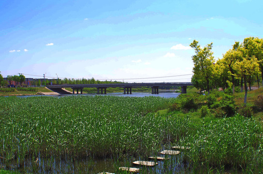 房山區(qū)新城濱水森林公園