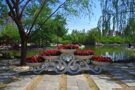 朝陽區(qū)立水橋公園