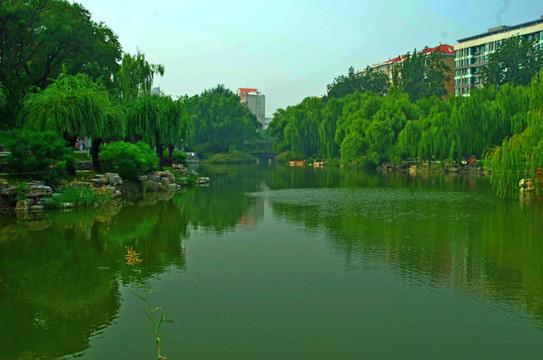 北京柳蔭公園