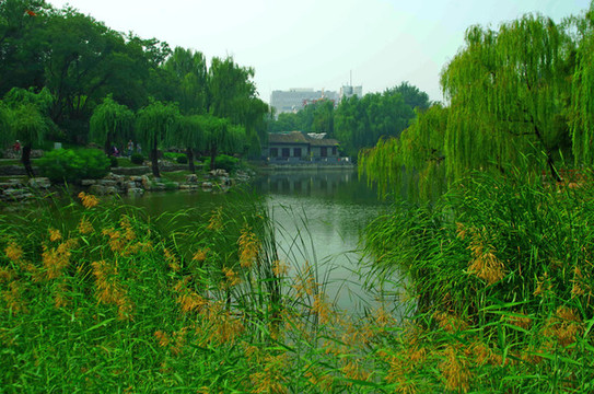 北京柳蔭公園