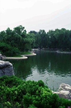 北京龍?zhí)逗珗@