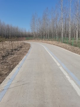 路
