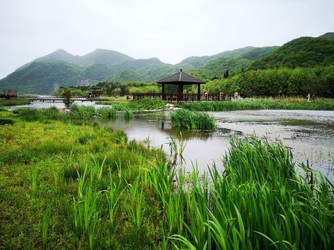 濕地公園