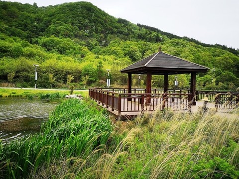 公園涼亭