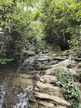 清泉石上流