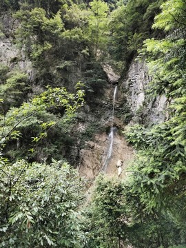 清泉石上流