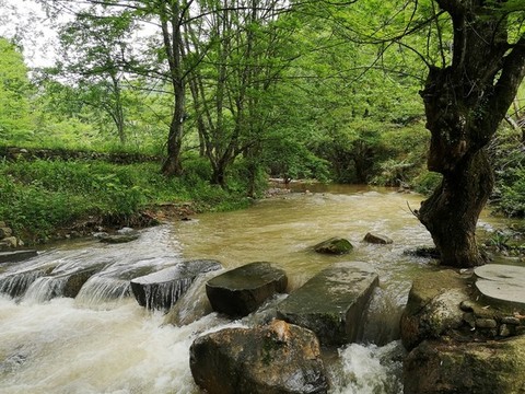 漲水的小河