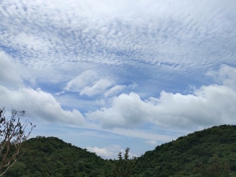 藍(lán)天白云