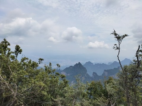 張家界的山峰