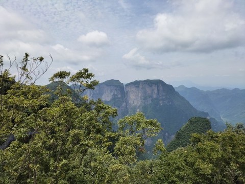 青山與綠植