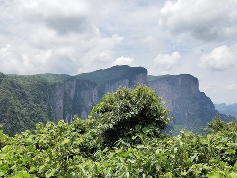 山峰與綠植