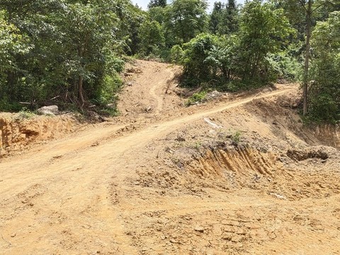 黃泥巴公路