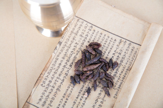 醫(yī)書上的藥材和旁邊的藥杵