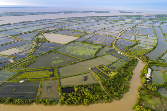 淮河入洪澤湖口風(fēng)光