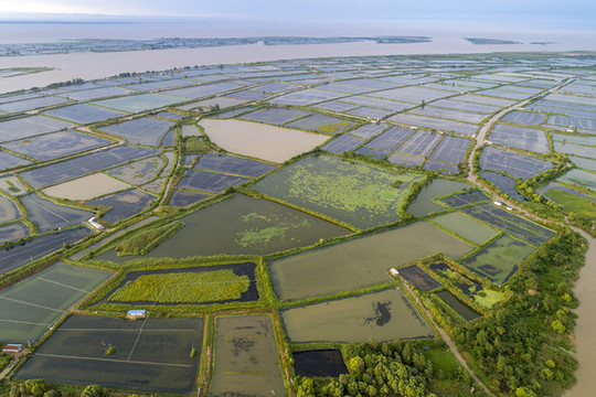 淮河入洪澤湖口風(fēng)光