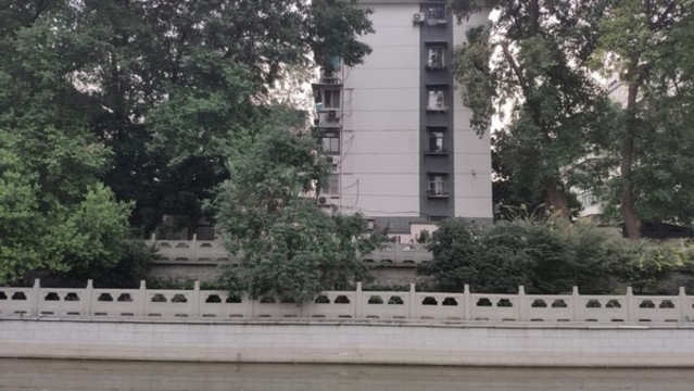 沿岸植樹