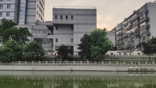沿岸植樹
