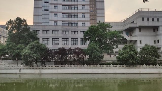沿岸植樹