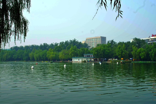 北京青年湖公園