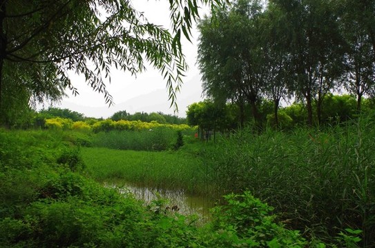 通州臺湖公園
