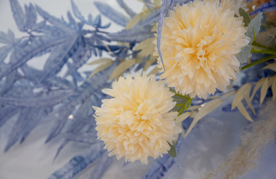 高清唯美粉色菊花