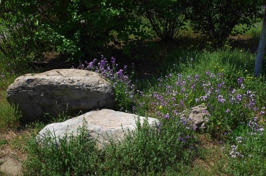 北京太平郊野公園