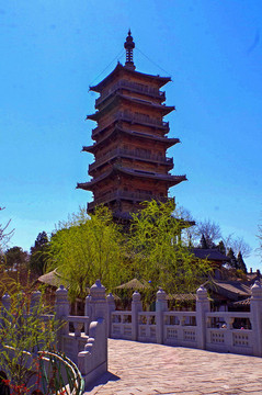 北京榆樹莊公園